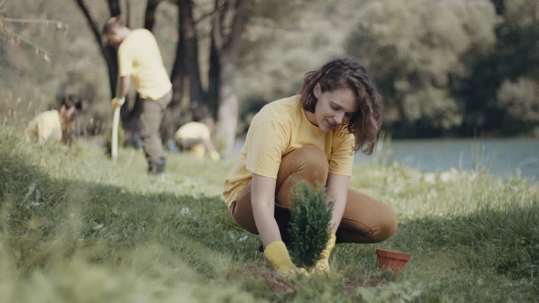 Lawn Watering Services in Cape May Court House, NJ