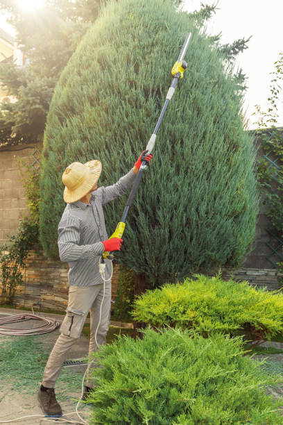 Best Lawn Pest Prevention  in Cape May Court House, NJ